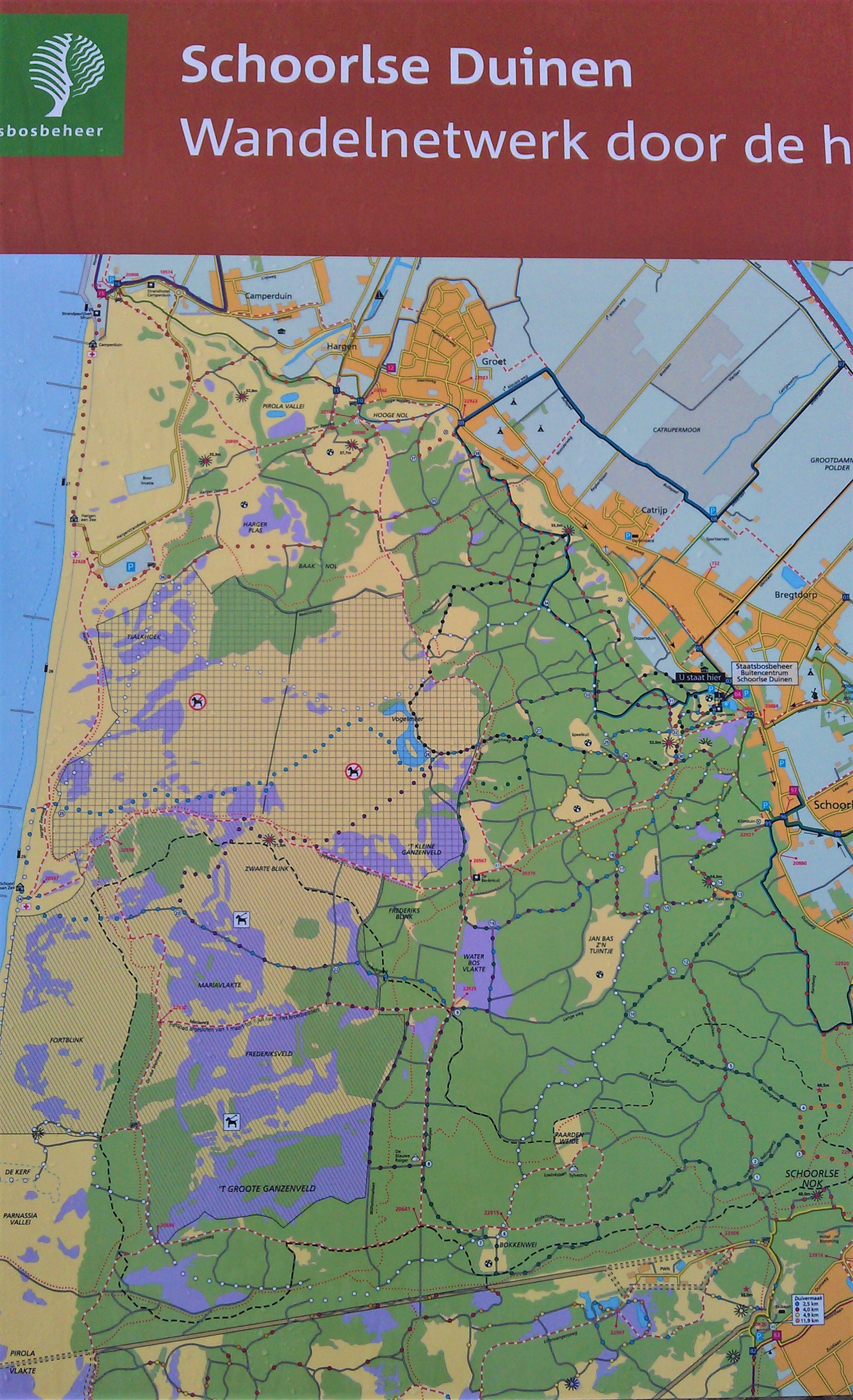 Schoorl The Netherlands Schoorl The Netherlands